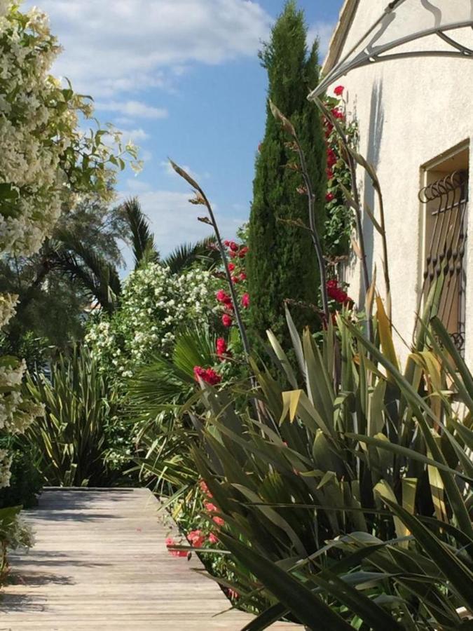 La Villa Vaihere En Camargue, L'Hibiscus Et Le Magnolia サントマリー・ド・ラメール エクステリア 写真