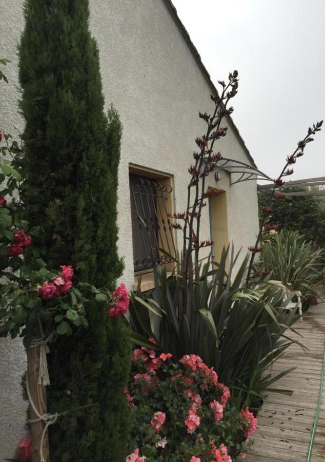 La Villa Vaihere En Camargue, L'Hibiscus Et Le Magnolia サントマリー・ド・ラメール エクステリア 写真
