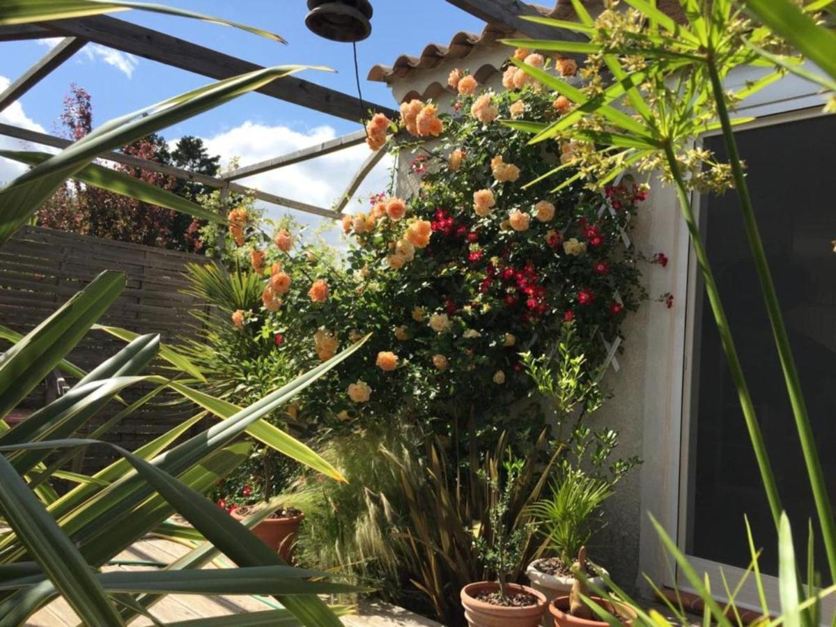 La Villa Vaihere En Camargue, L'Hibiscus Et Le Magnolia サントマリー・ド・ラメール エクステリア 写真